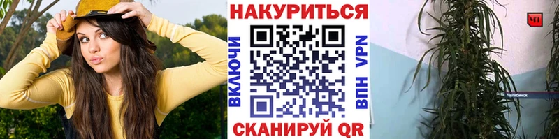 где найти наркотики  мега ССЫЛКА  Каннабис тримм  Беломорск 